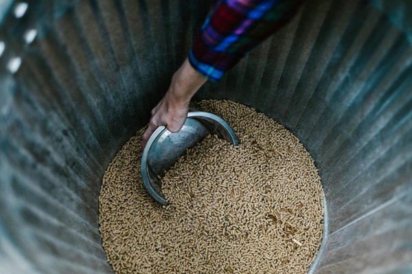 Fabrication de pellets : une solution écoresponsable rentable